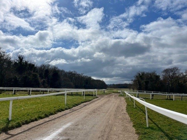 View of the path across the downs